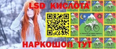 стафф Шахты