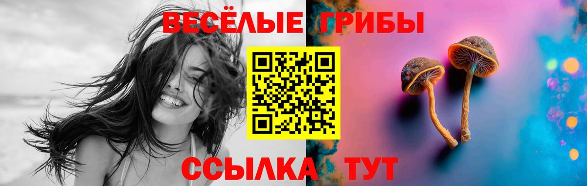 Псилоцибиновые грибы Cubensis Волжский